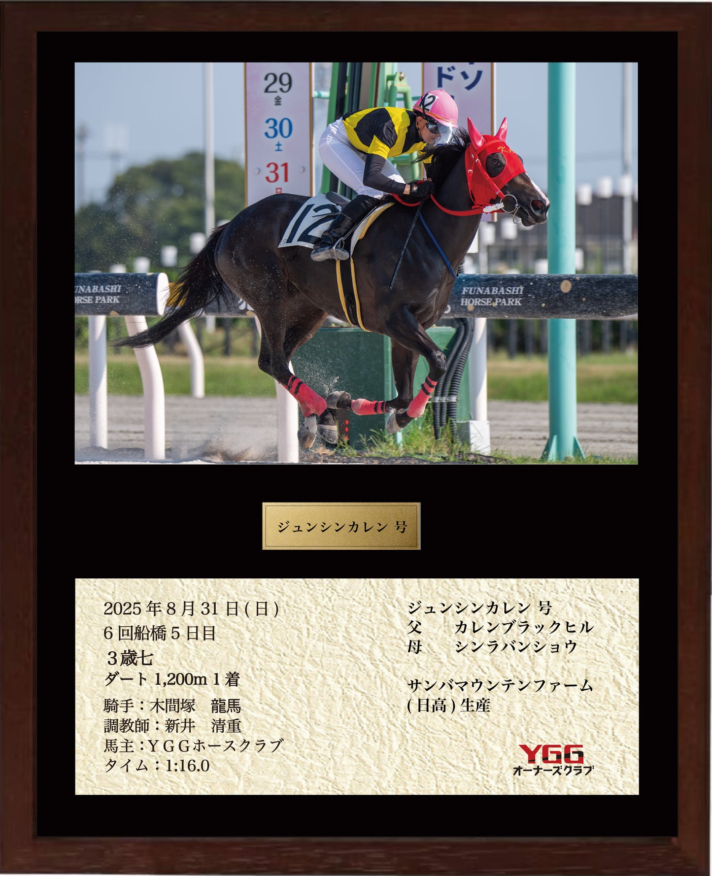 ジュンシンカレン号「3歳七」勝利記念オリジナル額装