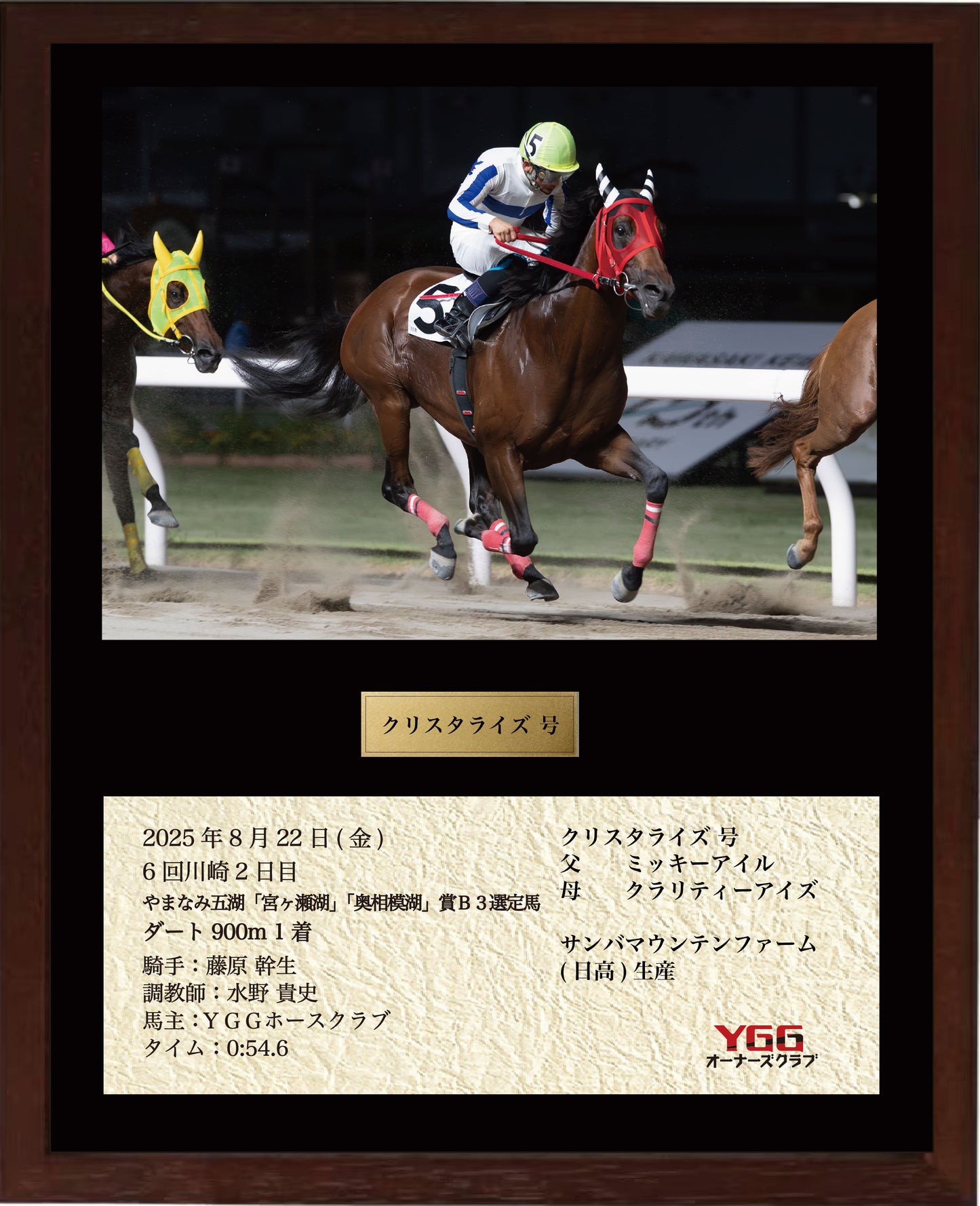 クリスタライズ号「やまなみ五湖「宮ヶ瀬湖」「奥相模湖」賞B3選定馬」勝利記念オリジナル額装