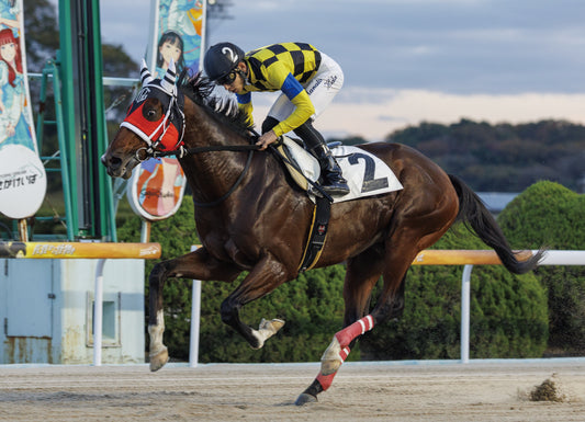 オールスティール号「都一番の花魁おねーりーっ、ゆうぎり記念C1-9組」勝利記念オリジナル額装