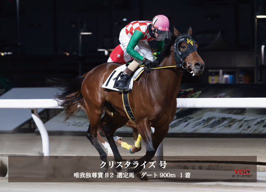 クリスタライズ号「特選 川崎スプリントシリーズ 唯我独尊賞B2選定馬」勝利記念オリジナル写真プレート