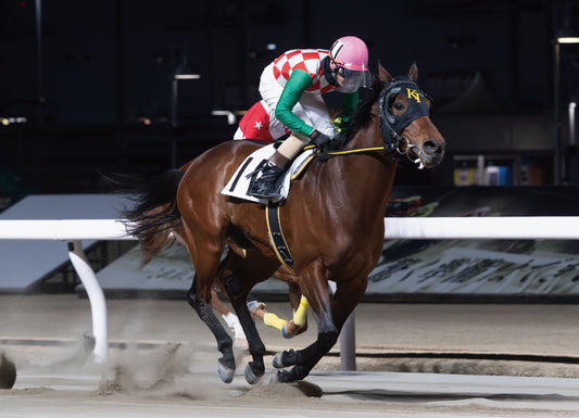 クリスタライズ号「特選 川崎スプリントシリーズ 唯我独尊賞B2選定馬」勝利記念オリジナル額装