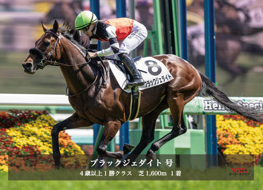 ブラックジェダイト号「4歳以上1勝クラス」勝利記念オリジナル写真プレート
