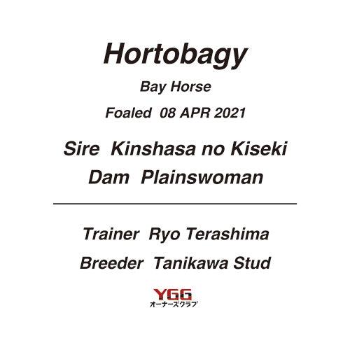 ホルトバージ号 TシャツB(WHT)