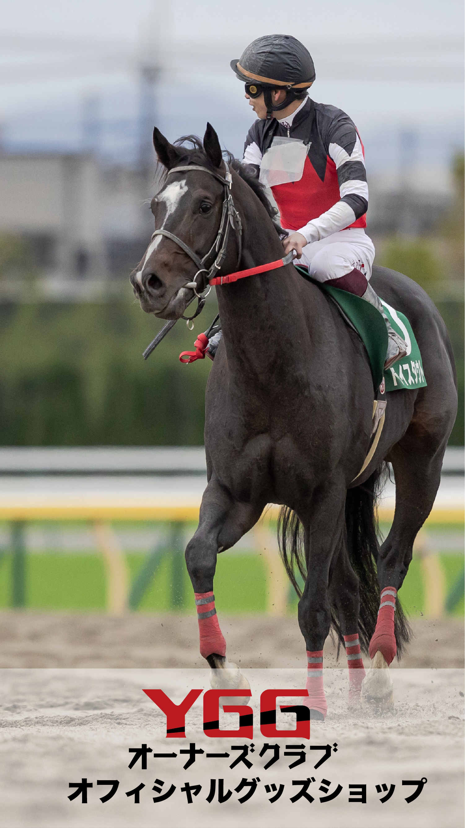 All collection – Page 2 – YGGオーナーズクラブオフィシャルグッズ