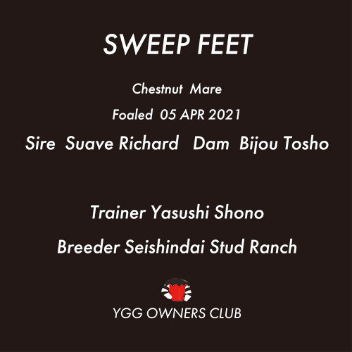 スウィープフィート号 TシャツA（BLK）