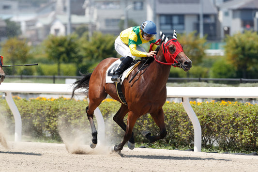 タイトルコール号「浦和８００ラウンド３歳未格付選抜馬イ」勝利記念オリジナル額装