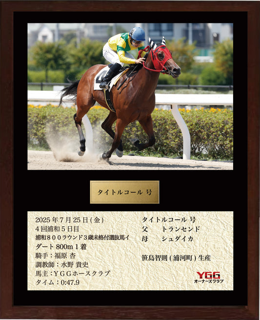 タイトルコール号「浦和８００ラウンド３歳未格付選抜馬イ」勝利記念オリジナル額装