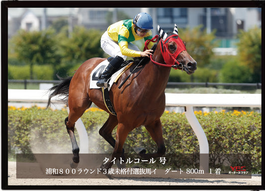 タイトルコール号「浦和８００ラウンド３歳未格付選抜馬イ」勝利記念オリジナル写真プレート