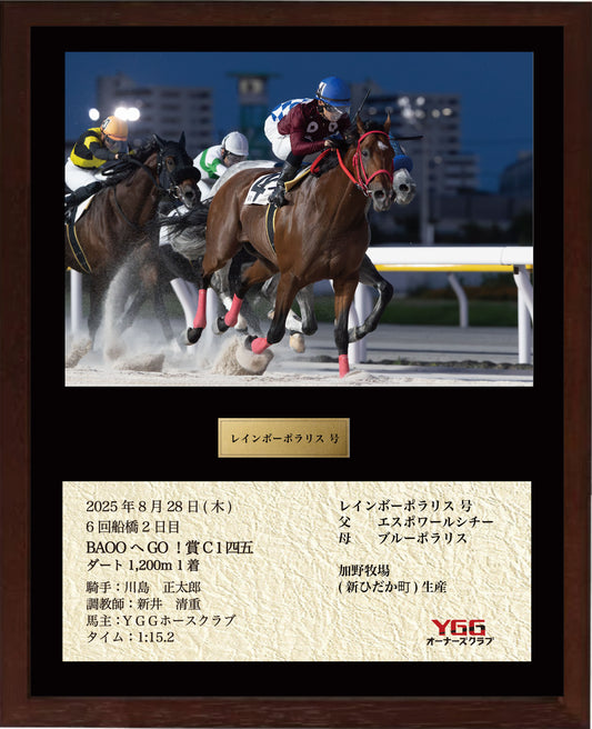 レインボーポラリス号「 ＢＡＯＯへＧＯ！賞Ｃ１四 五」勝利記念オリジナル額装