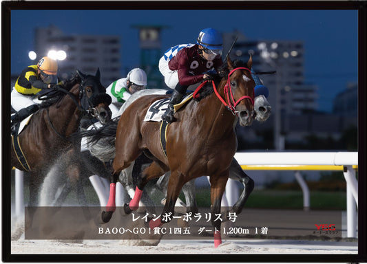 レインボーポラリス「ＢＡＯＯへＧＯ！賞Ｃ１四 五」勝利記念オリジナル写真プレート