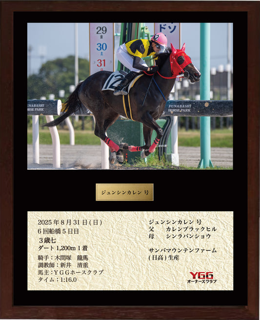 ジュンシンカレン号「３歳七」勝利記念オリジナル額装