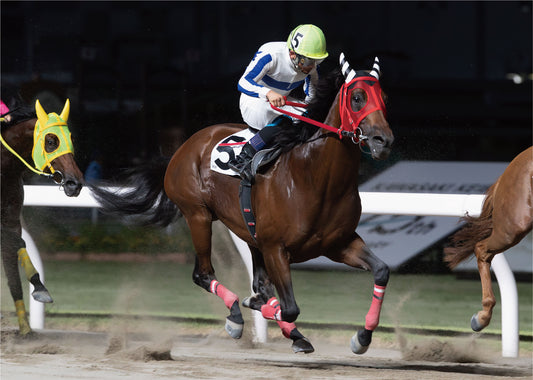 クリスタライズ号「やまなみ五湖「宮ヶ瀬湖」「奥相模湖」賞Ｂ３選定馬」勝利記念オリジナル額装