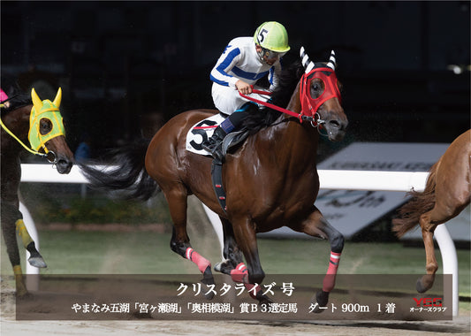 クリスタライズ号「やまなみ五湖「宮ヶ瀬湖」「奥相模湖」賞Ｂ３選定馬」勝利記念オリジナル写真プレート