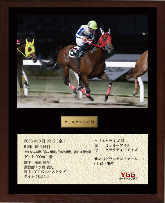 クリスタライズ号「やまなみ五湖「宮ヶ瀬湖」「奥相模湖」賞Ｂ３選定馬」勝利記念オリジナル額装
