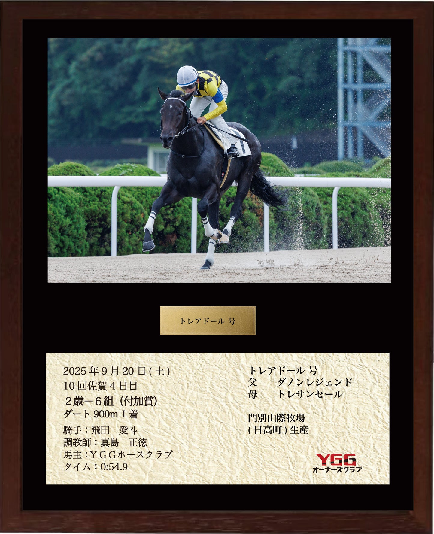 トレアドール号「２歳－６組」勝利記念オリジナル額装