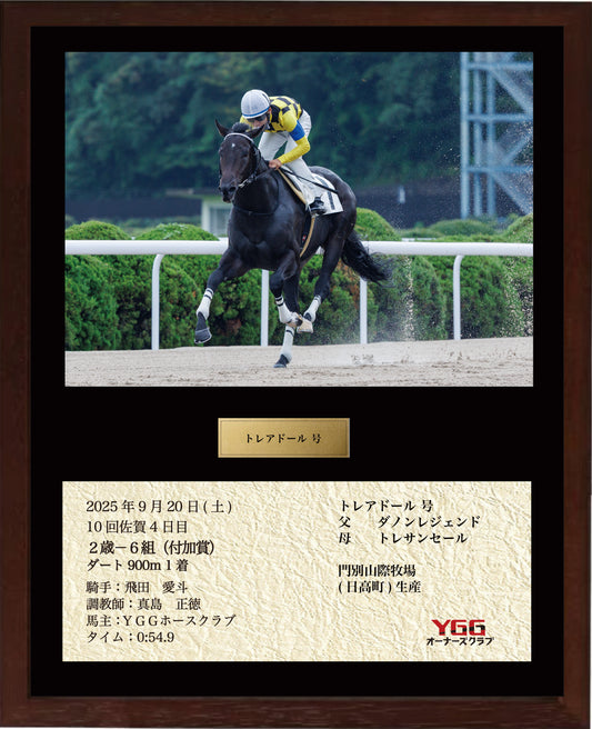 トレアドール号「２歳－６組」勝利記念オリジナル額装