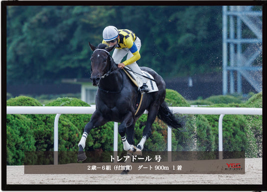 トレアドール号「２歳－６組」勝利記念オリジナル写真プレート