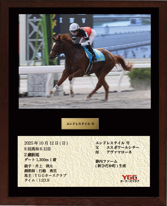 エンドレステイル号「2歳新馬」勝利記念オリジナル額装