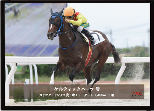 ケルティックハーツ号「カサオク・サンクス賞」勝利記念オリジナル写真プレート