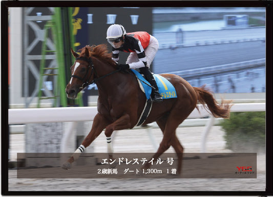 エンドレステイル号「2歳新馬」勝利記念オリジナル写真プレート