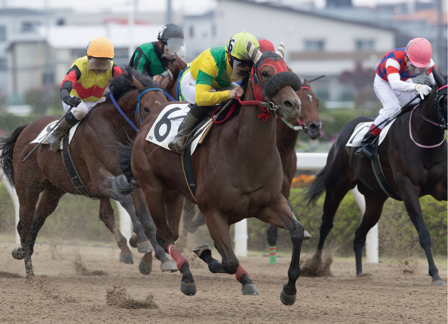 タイトルコール号「特選Ｃ１Ｃ２選抜馬イ選抜馬ア」勝利記念オリジナル額装