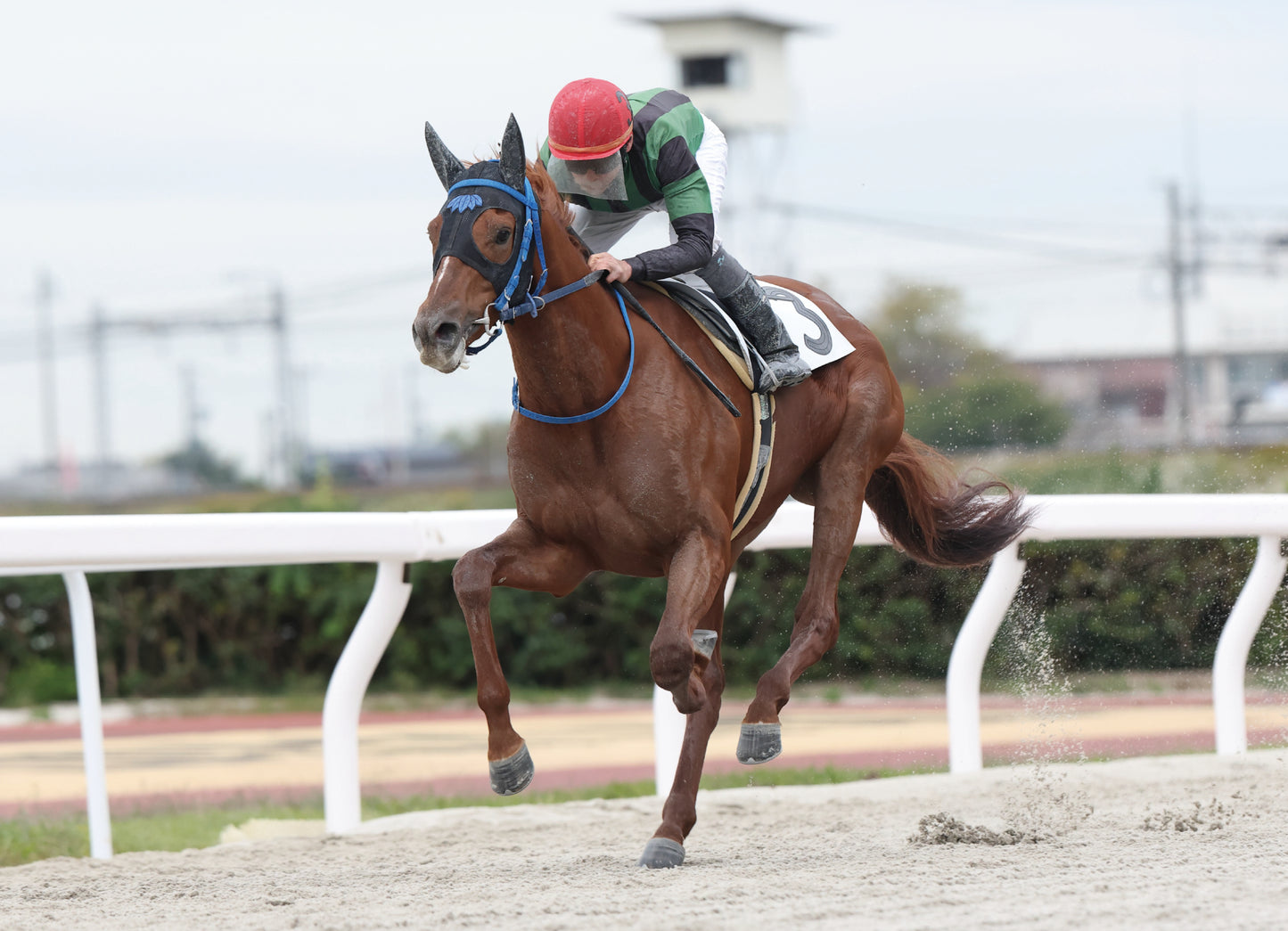 ラストショット号「Ｃ１８組」勝利記念オリジナル額装