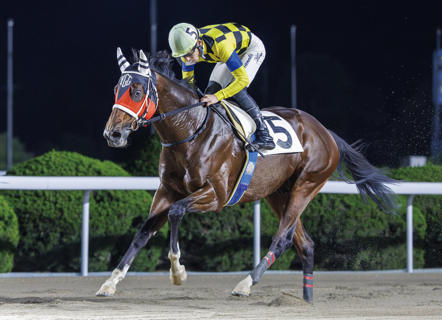 オールスティール号「ムーンライト特選Ｃ２」勝利記念オリジナル額装