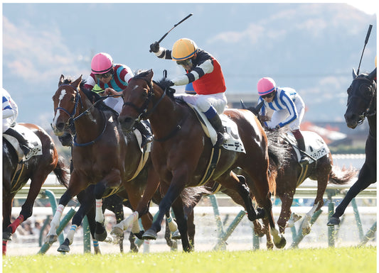 モーデン号「3歳以上1勝クラス」勝利記念オリジナル額装