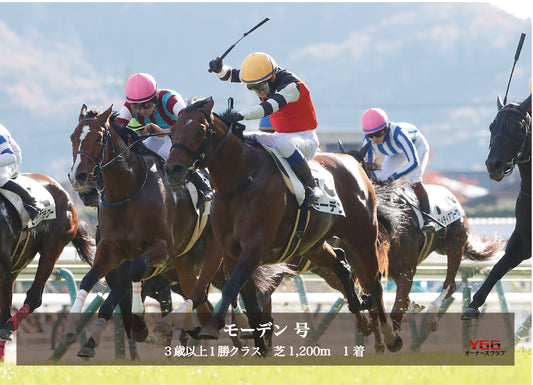 モーデン号「3歳以上1勝クラス」勝利記念オリジナル写真プレート
