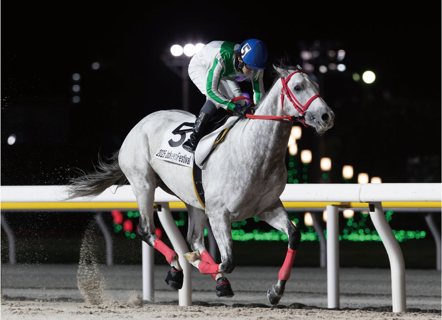 リボルトバレット号「２０２５ＪｏｃｋｅｙｓＦｅｓｔｉｖａｌ（７ｔｈ）Ｃ２選抜馬」勝利記念オリジナル額装