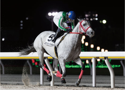 リボルトバレット号「２０２５ＪｏｃｋｅｙｓＦｅｓｔｉｖａｌ（７ｔｈ）Ｃ２選抜馬」勝利記念オリジナル額装