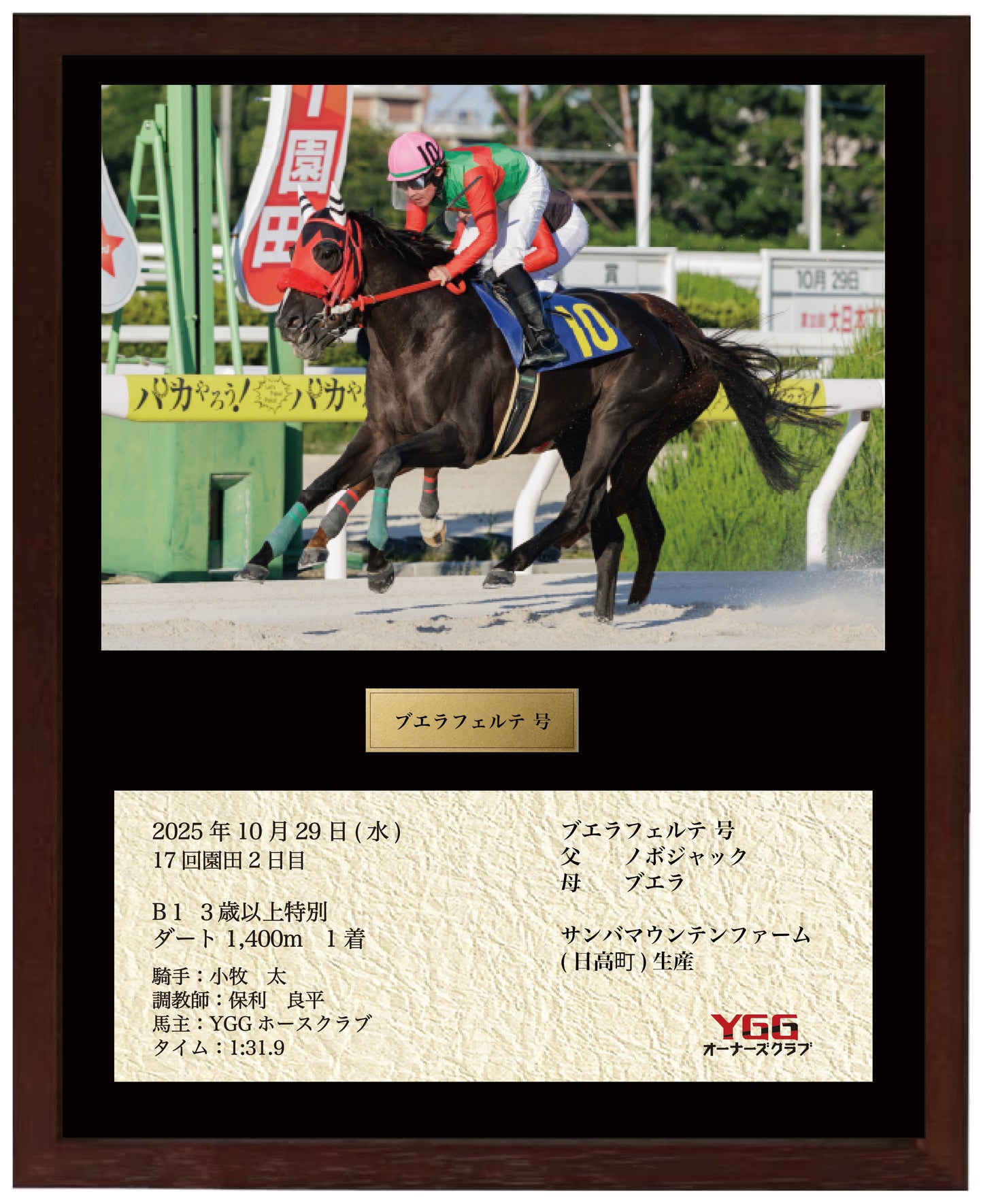 ブエラフェルテ号「Ｂ１ ３歳以上特別」勝利記念オリジナル額装