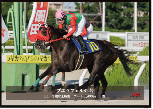 ブエラフェルテ号「Ｂ１ ３歳以上特別」勝利記念オリジナル写真プレート