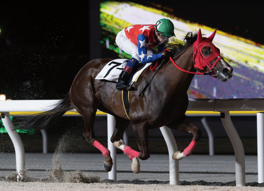 リカード号「馬い！卵はサンサンエッグ津田沼店 Ｃ２四五」勝利記念オリジナル額装