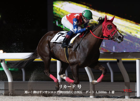 リカード号「馬い！卵はサンサンエッグ津田沼店 Ｃ２四五」勝利記念オリジナル写真プレート