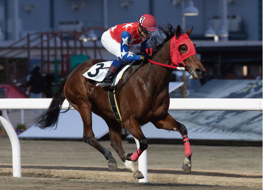 ドレアンティア号「ブルーマウンテン賞 Ｃ１一 二 三」勝利記念オリジナル額装