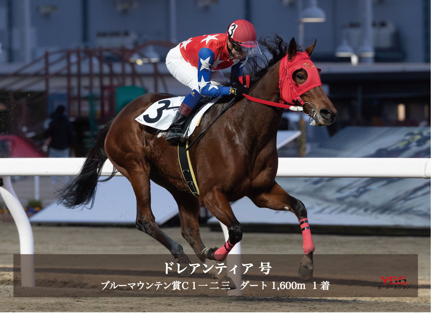 ドレアンティア号「ブルーマウンテン賞 Ｃ１一 二 三」勝利記念オリジナル写真プレート