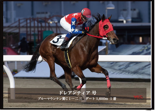 ドレアンティア号「ブルーマウンテン賞 Ｃ１一 二 三」勝利記念オリジナル写真プレート