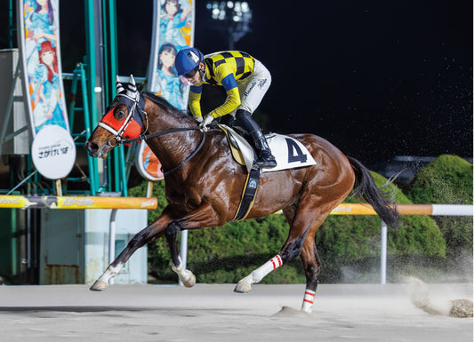 オールスティール号「ガーネット特選 Ｃ１」勝利記念オリジナル額装