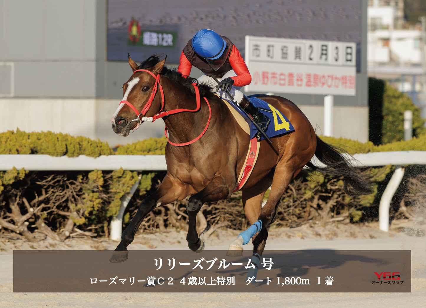 リリーズブルーム号「ローズマリー賞Ｃ２ ４歳以上特別」勝利記念オリジナル写真プレート
