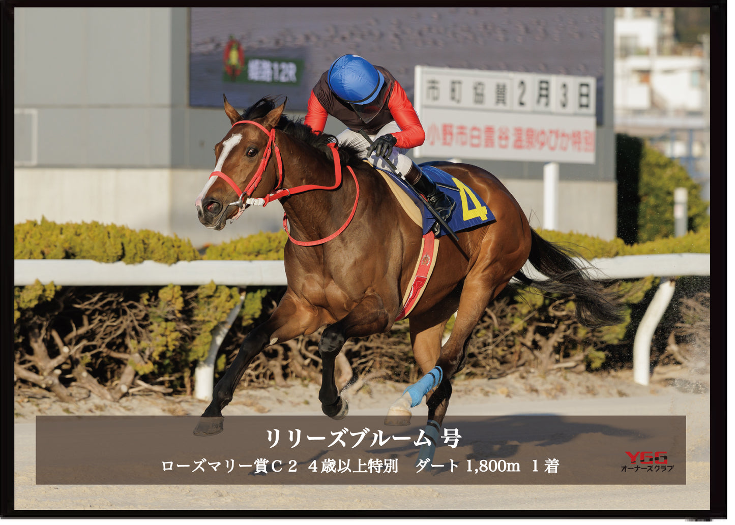 リリーズブルーム号「ローズマリー賞Ｃ２ ４歳以上特別」勝利記念オリジナル写真プレート