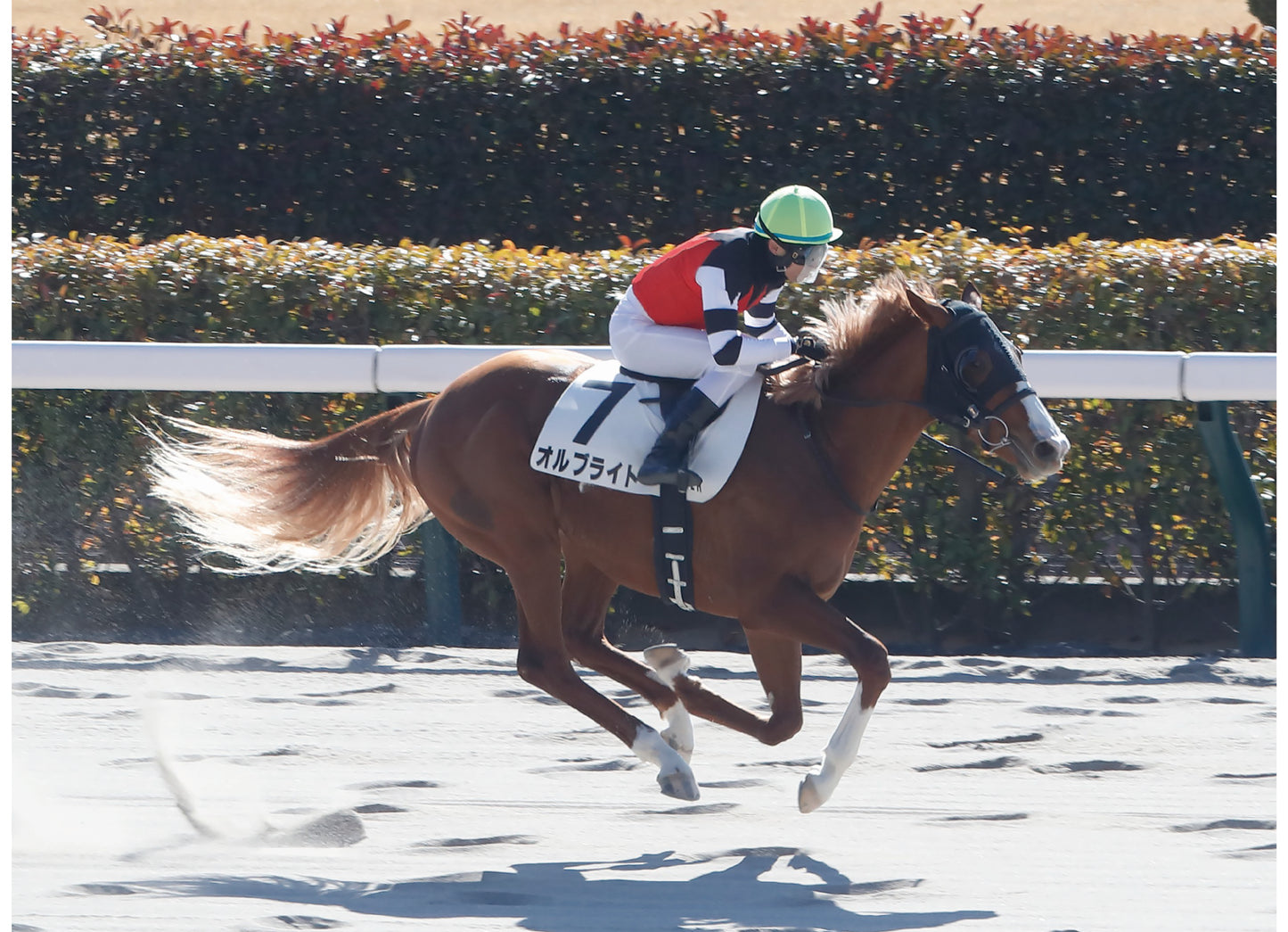 オルブライト号「3歳未勝利」勝利記念オリジナル額装