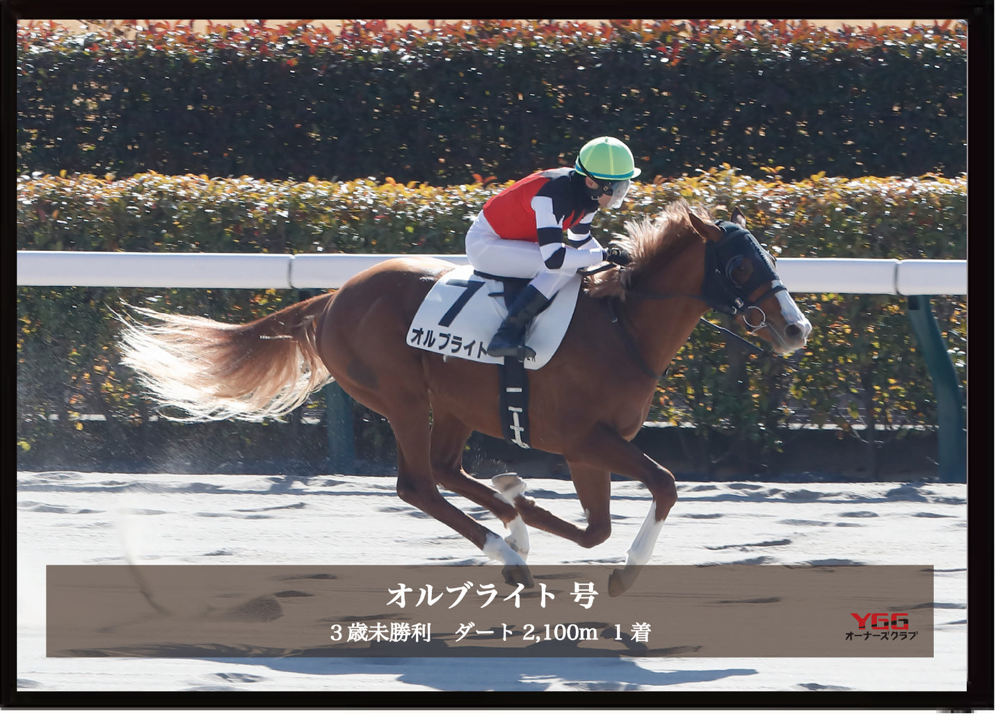 オルブライト号「3歳未勝利」勝利記念オリジナル写真プレート