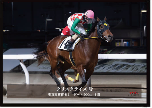 クリスタライズ号「特選　川崎スプリントシリーズ　唯我独尊賞B2選定馬」勝利記念オリジナル写真プレート
