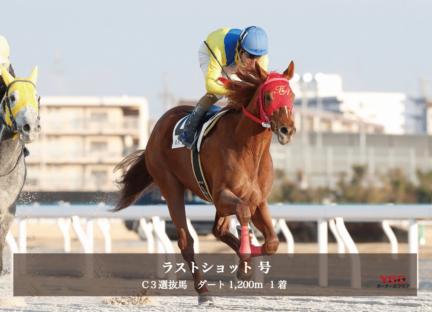 ラストショット号「Ｃ３ 選抜馬」勝利記念オリジナル写真プレート