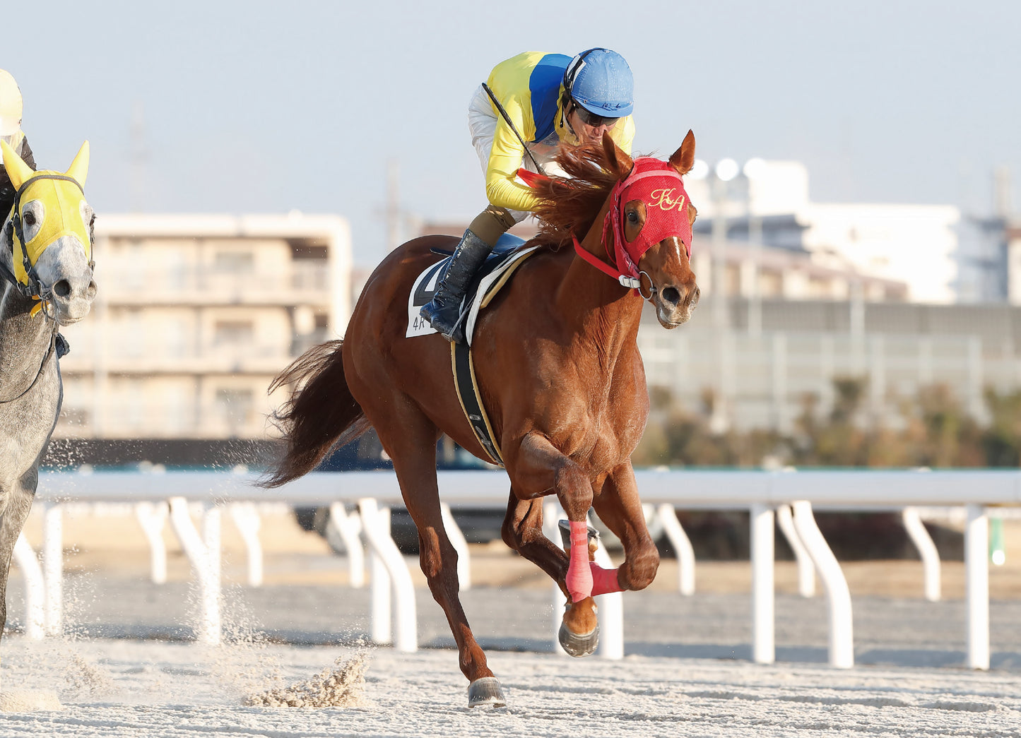 ラストショット号「Ｃ３ 選抜馬」勝利記念オリジナル額装