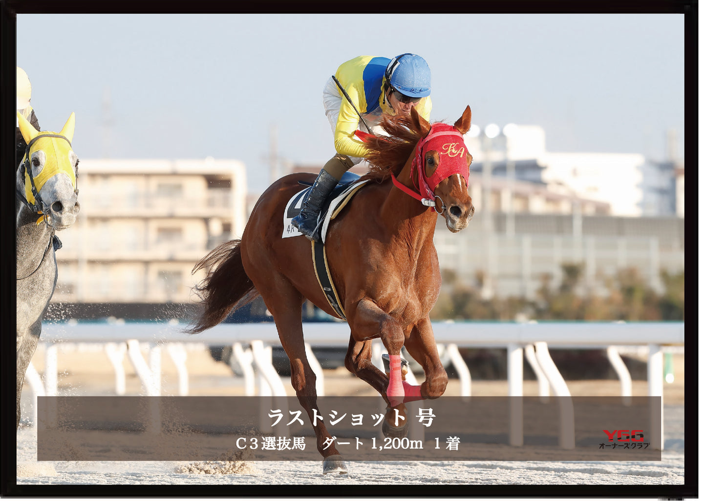 ラストショット号「Ｃ３ 選抜馬」勝利記念オリジナル写真プレート