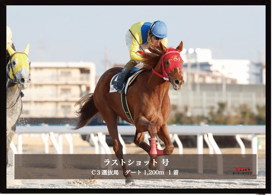 ラストショット号「Ｃ３ 選抜馬」勝利記念オリジナル写真プレート