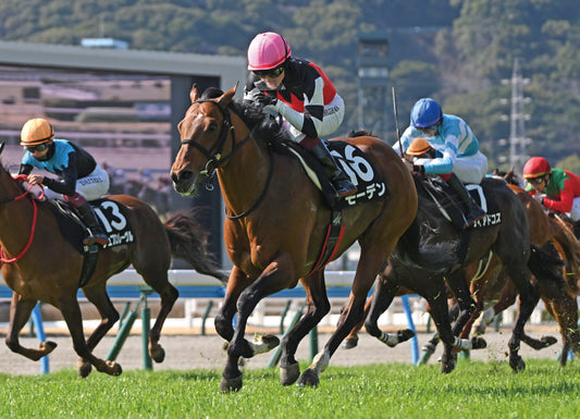 モーデン号「西日本新聞杯(2勝クラス)」勝利記念オリジナル額装