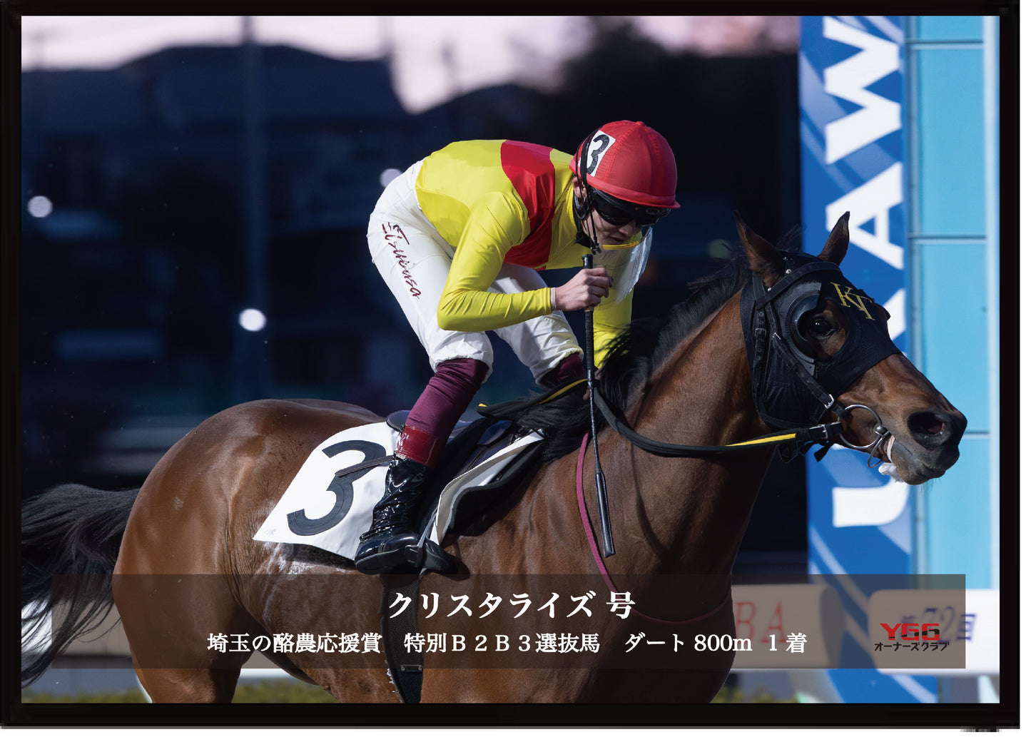 クリスタライズ号「埼玉の酪農応援賞　特別Ｂ２Ｂ３選抜馬」勝利記念オリジナル写真プレート